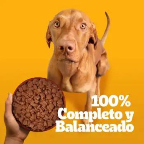 Alimento Húmedo Perro Pedigree Sabor Res 24 Sobres De 150 Gr
