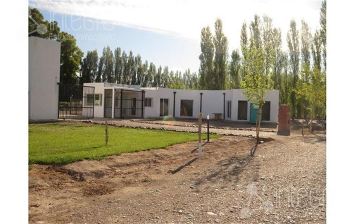 Imagen 3 de 9 de Terreno - General Roca