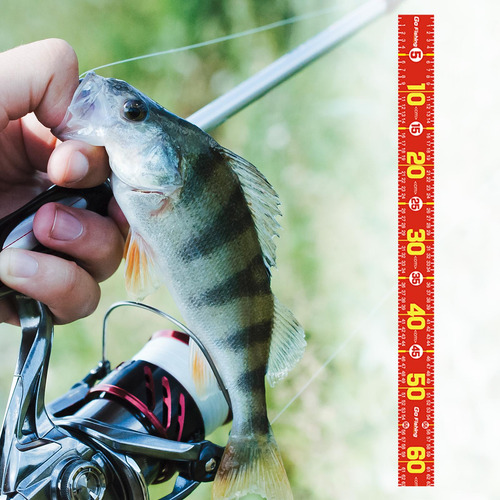 6 Kit De Pesca Compacto Con 5 Normas Esenciales 6 Piezas