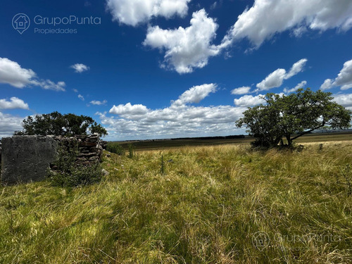 Campo En Venta - Rocha