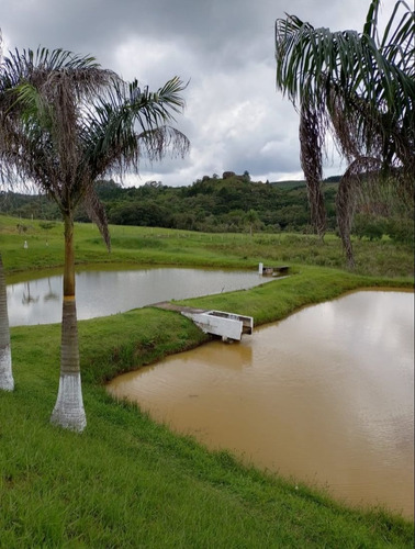 Imagem 3 de 7 de Terreno A 1h15 Da Capital Com 1000m Ls