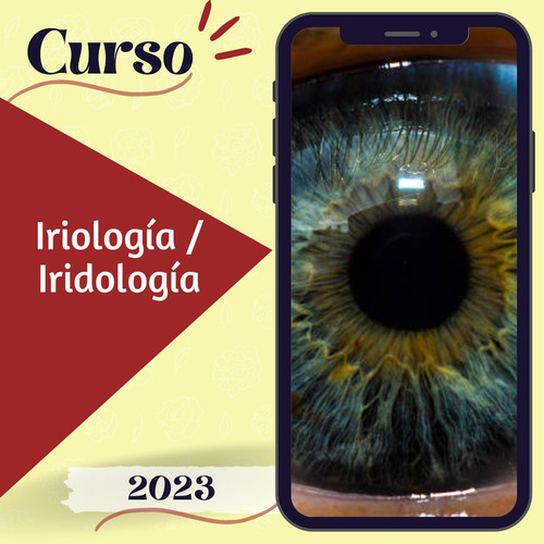 Curso Online De Iriología/iridología Con Certificado