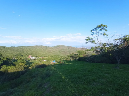 Venta Lote N°6 En Parcelación Campestre Dapa