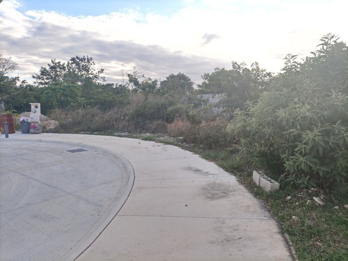 Imagen 7 de 30 de Terreno En Venta En Nortemerida