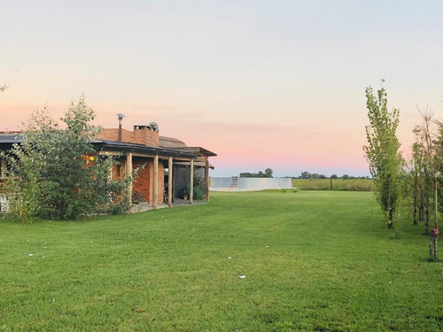 Imagen 7 de 30 de Campo En San Andres De Giles
