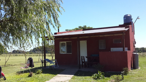 Imagen 2 de 12 de Vendo O Permuto (por Menor Valor) Excelente Chacra En San José Entre Ríos - Lista Para Instalarse