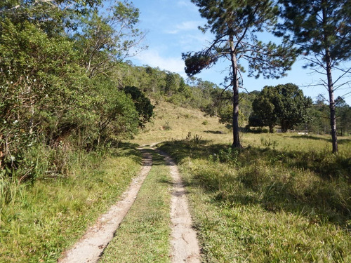 Imagem 17 de 18 de Sítio À Venda Em Juquitiba 56.000 M² Lago Cheio De Peixes