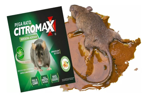 Armadilha Ratoeira Adesiva Rato Camundongo Não Tóxica 12un