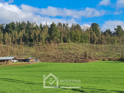 Campo 78 Ha En Traiguén Entre Rios