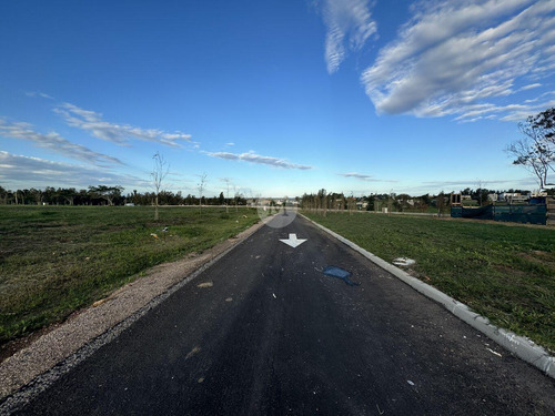 Venta Terreno Fase 3 En Olivos De Los Horneros