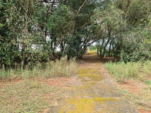 Imagem 15 de 15 de Cód 5662 - Belissima Chácara Á Venda As Margens Da Represa D - 5662
