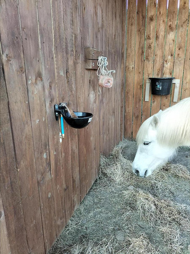 Bebedero Para Caballo Con Lengüeta