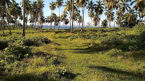 Terreno En 1era Linea De Playa, Las Pascualas, Samaná