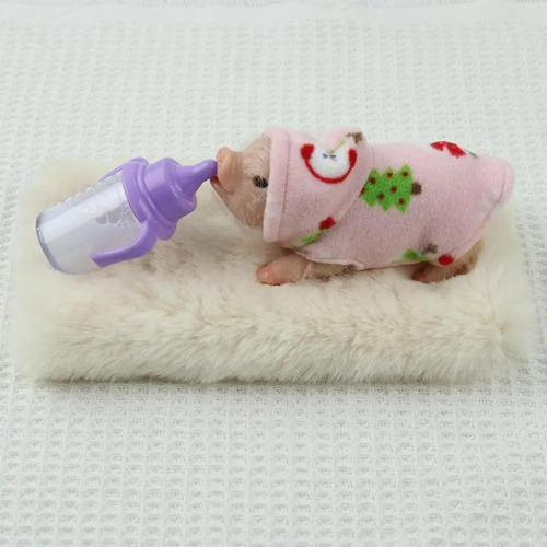 Cerdo Renacido Con Accesorios, Animales De Silicona, Cerdito