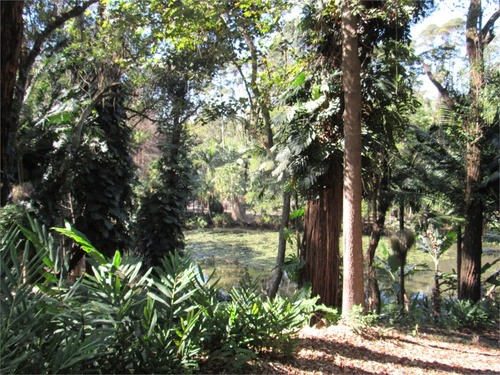 Imagem 20 de 21 de Terreno Dentro Da Chácara Flora - Reo507663