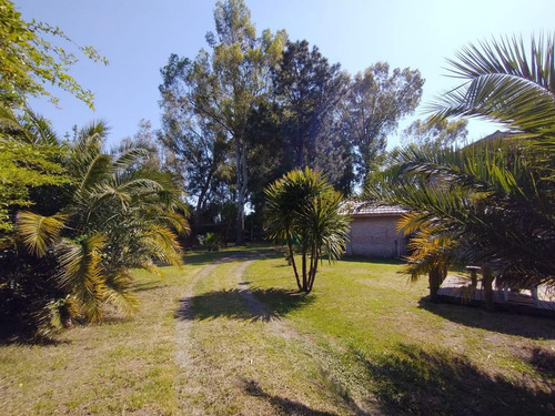 Imagen 26 de 30 de Casa En Venta En La Plata Calle 431 Bis E/ Colectora Y 227 - Dacal Bienes Raices