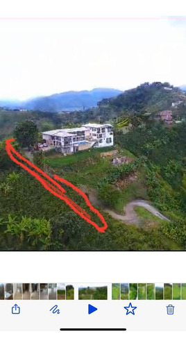 Vendo Lote En San Peregrino (21.500mt) Manizales