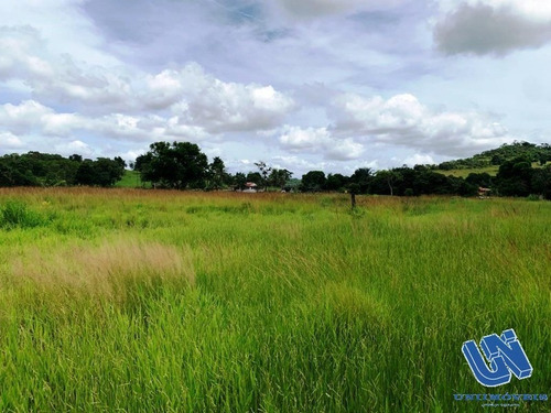 Imagem 1 de 12 de Fazenda Com 83 Tarefas Em Catu - Bahia - Afd069 - 70759118