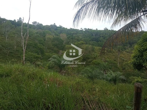 Imagem 8 de 29 de Fazenda, Venda, 17,4 Hectares, Camaçari, Excelente Oportunidade! - Te0021