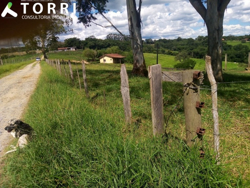 Imagem 24 de 24 de Sitio À Venda Em Sarapuí - St00130 - 69233755