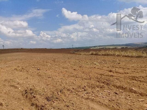 Imagem 7 de 11 de Cod 3943 - Área Com 40 Alqueires A 900 Metros Da Raposo Tava - 3943