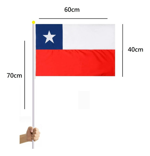 Pack X12 Banderines Chilenos 40x60cm Bandera De Chile C/asta