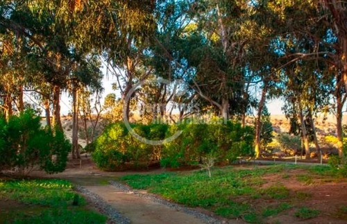 Terreno 6.660m2 En Condominio Agua Dulce En Canela
