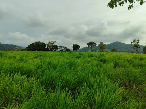 Em Finca En Venta En La Fría