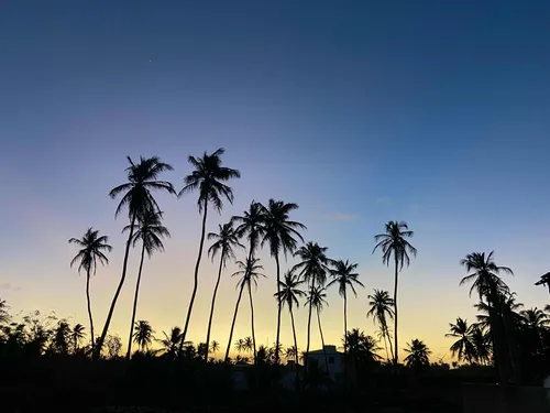 Terreno Em Icaraizinho De Amontada, Ceará.