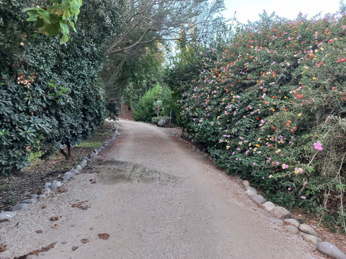 Casa De Arquitectura Única Y Preciosos Jardines Y Entorno
