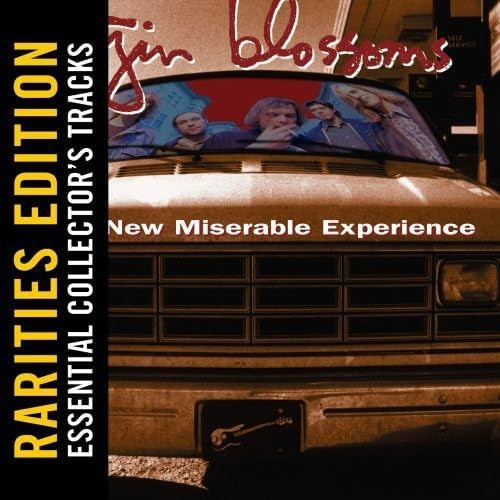 Cd:new Miserable Experience (rarities Edition)