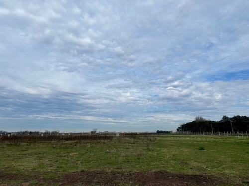 Imagen 2 de 14 de Lotes Terreno En Venta Barrio Frida Kahlo Mariano Acosta Financiados