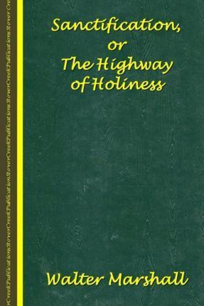 Libro Sanctification; The Highway Of Holiness - Andrew Mu...