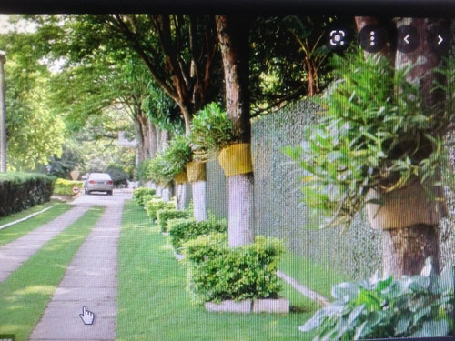 Imagem 6 de 6 de Hotel Dinastya