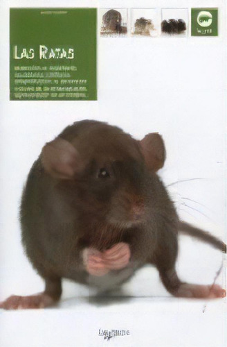 Las Ratas, De Anónimo., Vol. 1. Editorial De Vecchi, Tapa Blanda En Español