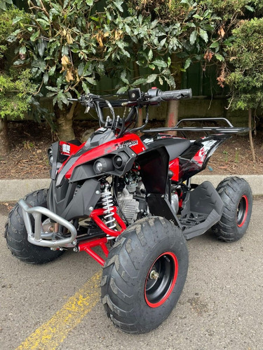 Imagen 6 de 9 de Cuatrimoto 110cc Automatica Para Niños 2023