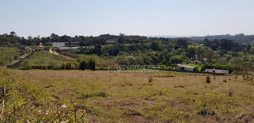 Imagem 15 de 15 de Terreno À Venda, 20000 M² Por R$ 1.600.000,00 - Água Espraiada (caucaia Do Alto) - Cotia/sp - Te9001