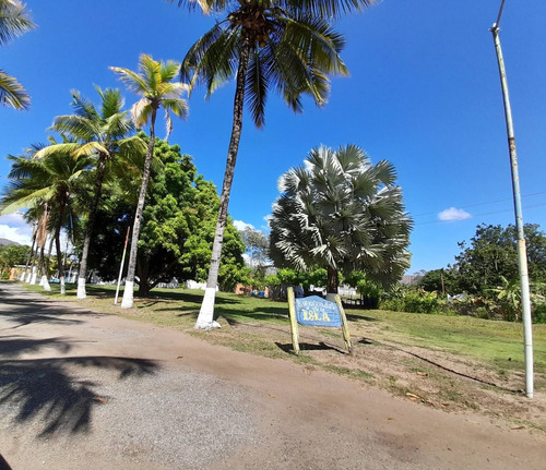 Terreno Con Fondo De Comercio Club La Isla En Yagua Guacara