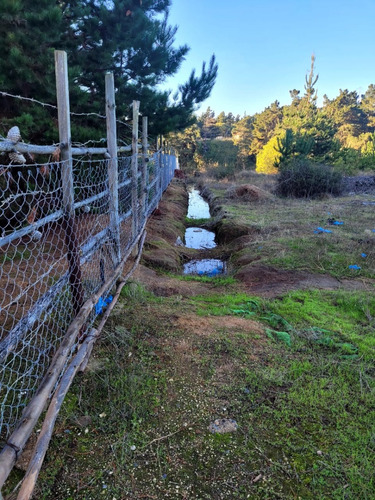Terreno Ubicado A Menos De Un Kilometro De Algarrobo Centro