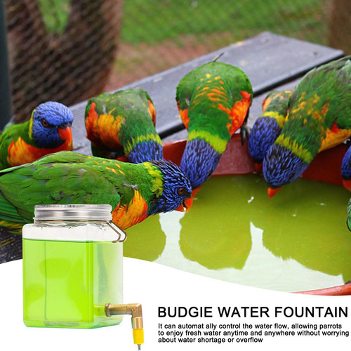 De Agua Para Pájaros Dispensador De Agua Transparente De Gra