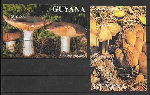 Guyana 1991 2 Hb Hongos Usados