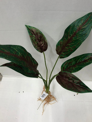 Planta Anubia Artificial Con Raíz, En Tacto Natural