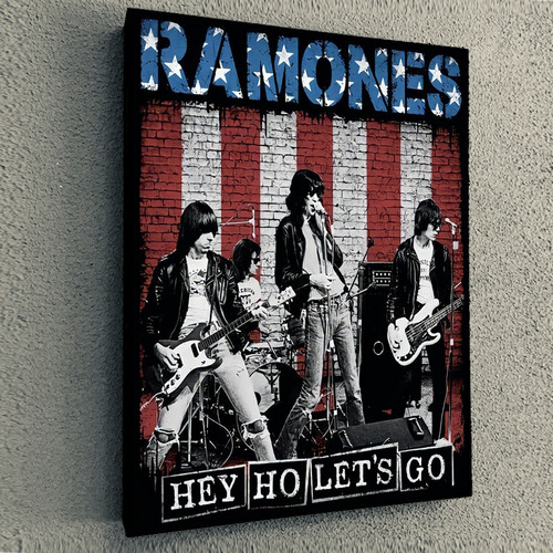 Cuadro De Rock Ramones Usa