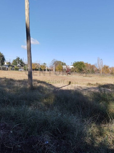 Imagen 3 de 3 de Terreno En Venta En City Bell