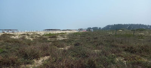 Venta Lotes Frente Al Mar La Puntilla Tamiahua Veracruz