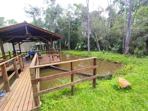 Imagem 10 de 15 de Chácara Para Venda Em Piraquara, Planta Laranjeiras, 3 Dormitórios, 1 Suíte, 2 Banheiros, 10 Vagas - Cha6613_1-2263885