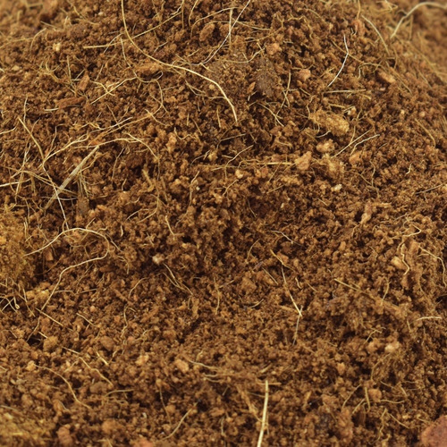 Imagen 1 de 3 de Fibra De Coco Sustrato 100% Natural Para Reptiles Terrario