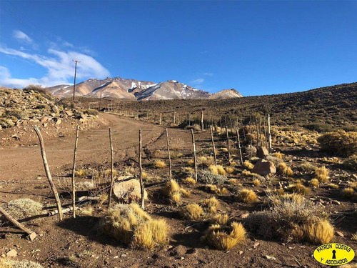 Imagen 5 de 6 de 2435ml-fraccion 53 Ha Los Molles - Malargue_mendoza