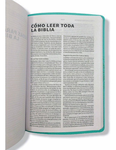 Imagen 7 de 9 de Biblia Nueva Version Internacional Nvi Imit. Azul Menta