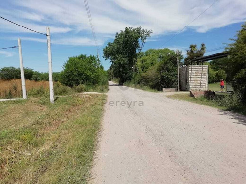 Imagen 4 de 30 de 147 Y 486 Lote En Venta, En Fincas Gorina.-